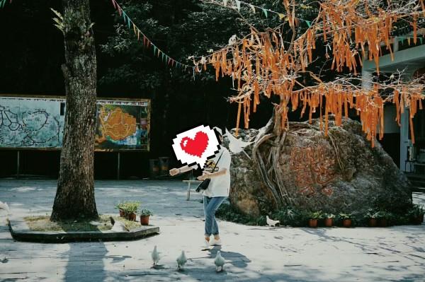 小小棒球赛